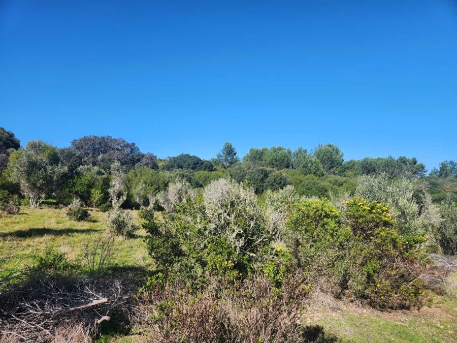 3 Bedroom Property for Sale in Stilbaai Western Cape